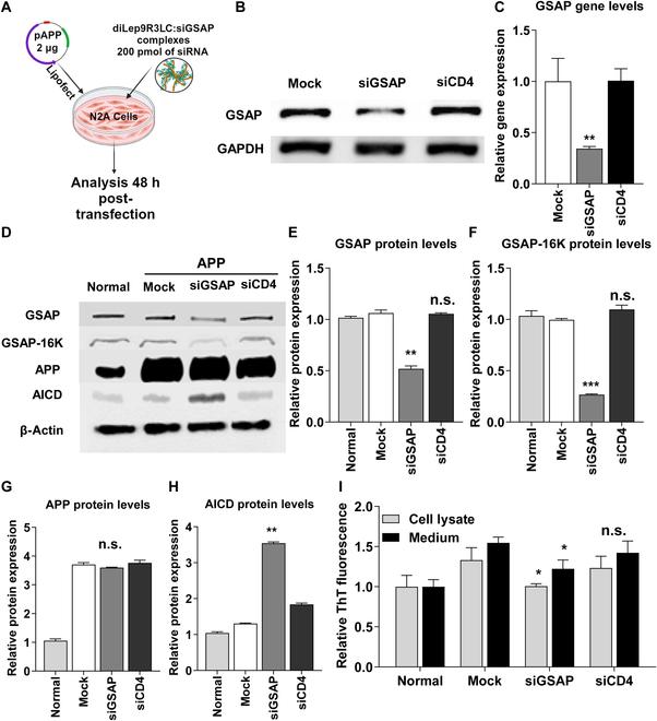 https://cdn.ncbi.nlm.nih.gov/pmc/blobs/e8ea/11168191/7dab32760d59/bmr.0027.fig.002.jpg