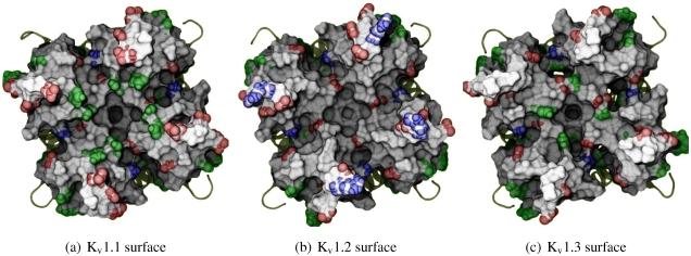 https://cdn.ncbi.nlm.nih.gov/pmc/blobs/e8eb/3317111/5a3692c14bc0/toxins-04-00110-g001.jpg