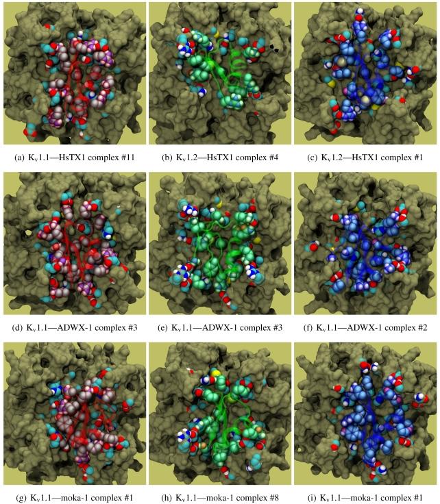 https://cdn.ncbi.nlm.nih.gov/pmc/blobs/e8eb/3317111/887a59db4a04/toxins-04-00110-g007.jpg