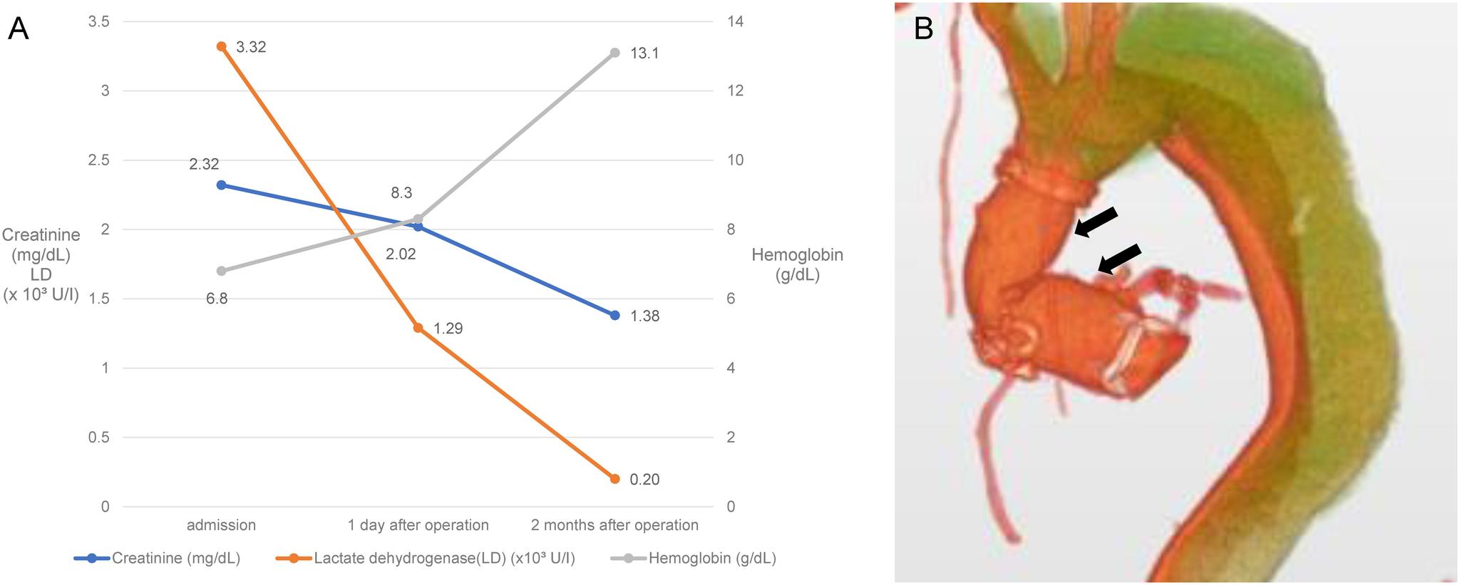 https://cdn.ncbi.nlm.nih.gov/pmc/blobs/e8ed/10539129/c3806202388e/avd-16-3-cr.23-00008-figure03.jpg