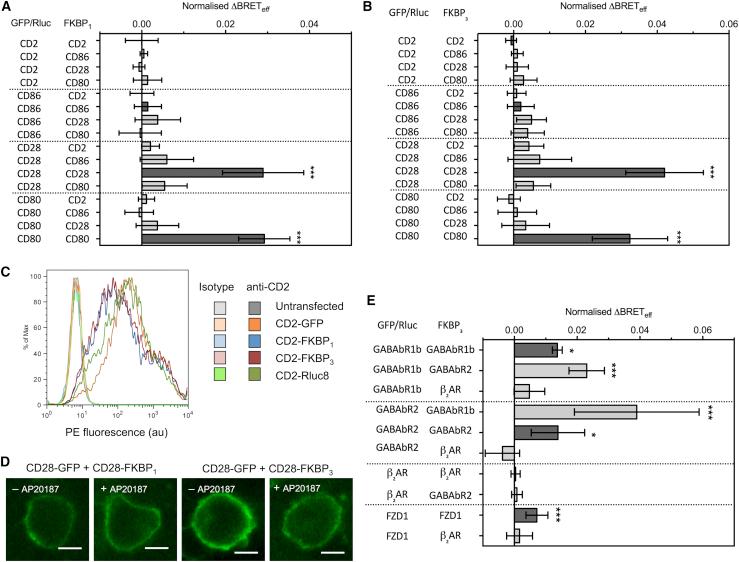 https://cdn.ncbi.nlm.nih.gov/pmc/blobs/e8ee/6341220/ad3345af9549/gr2.jpg