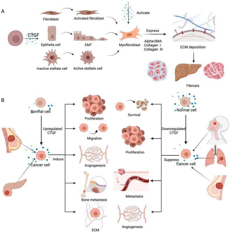 https://cdn.ncbi.nlm.nih.gov/pmc/blobs/e8ee/9279711/6879a093d867/gr3.jpg