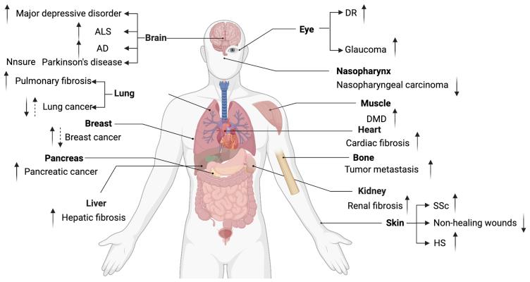 https://cdn.ncbi.nlm.nih.gov/pmc/blobs/e8ee/9279711/baed1fd228c7/gr4.jpg