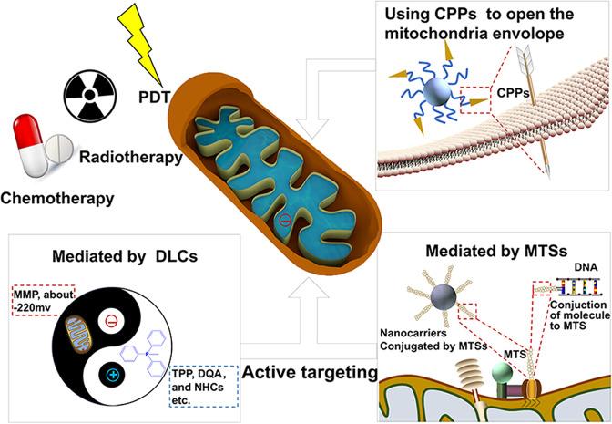 https://cdn.ncbi.nlm.nih.gov/pmc/blobs/e8ef/7644763/3a3b469035ea/41392_2020_342_Fig4_HTML.jpg