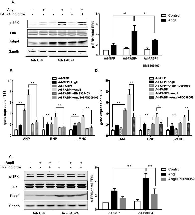 https://cdn.ncbi.nlm.nih.gov/pmc/blobs/e8f0/4905683/0b6ebabb7899/pone.0157372.g005.jpg