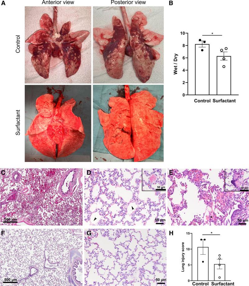 https://cdn.ncbi.nlm.nih.gov/pmc/blobs/e8f0/7886457/ea392ede4bcf/cc9-3-e0338-g004.jpg