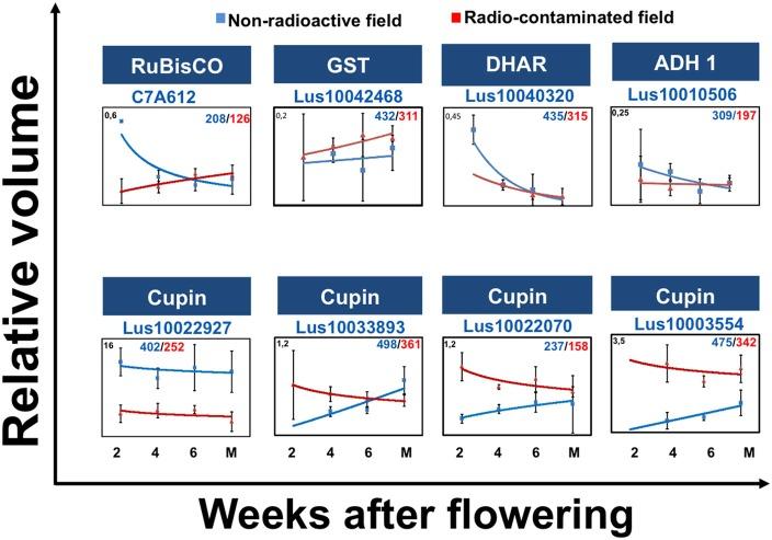 https://cdn.ncbi.nlm.nih.gov/pmc/blobs/e8f1/4711306/9360eb98f6c4/fpls-06-01215-g0003.jpg