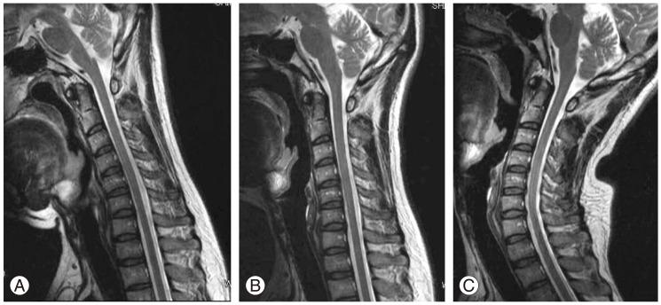 https://cdn.ncbi.nlm.nih.gov/pmc/blobs/e8f3/4278979/ce9a726821af/asj-8-747-g003.jpg