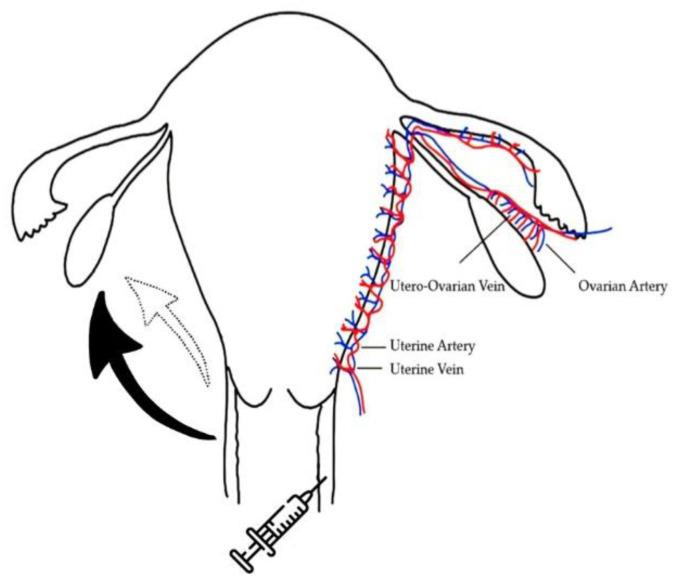 https://cdn.ncbi.nlm.nih.gov/pmc/blobs/e8f5/9025251/9601dcc0bfc6/pharmaceutics-14-00869-g001.jpg
