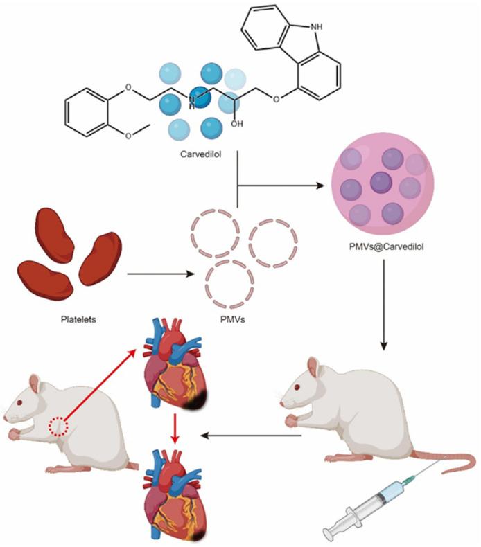 https://cdn.ncbi.nlm.nih.gov/pmc/blobs/e8f7/9227294/fed0626464b5/membranes-12-00605-g001.jpg