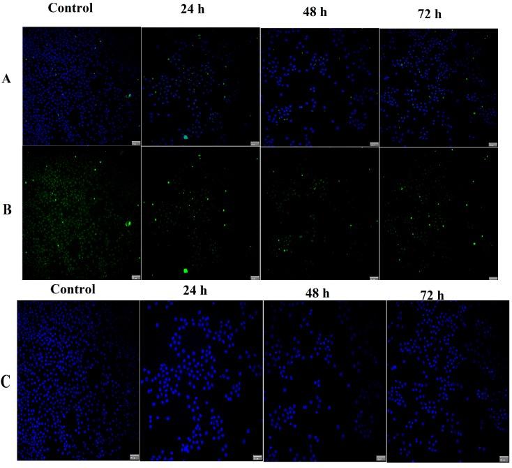 https://cdn.ncbi.nlm.nih.gov/pmc/blobs/e8fb/6270824/c211a2ad1f8b/molecules-19-09478-g011.jpg