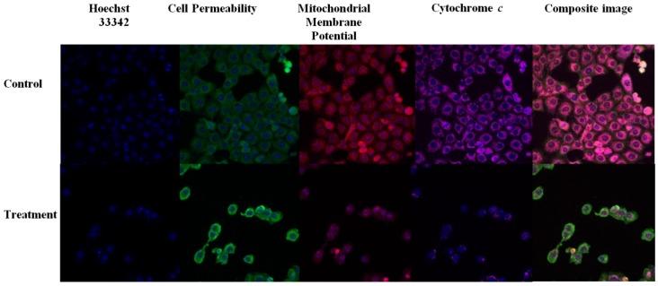 https://cdn.ncbi.nlm.nih.gov/pmc/blobs/e8fb/6270824/e36bf61892ce/molecules-19-09478-g008.jpg