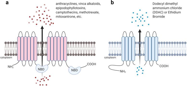 https://cdn.ncbi.nlm.nih.gov/pmc/blobs/e8fb/8607383/657f9935c70f/43556_2021_41_Fig4_HTML.jpg