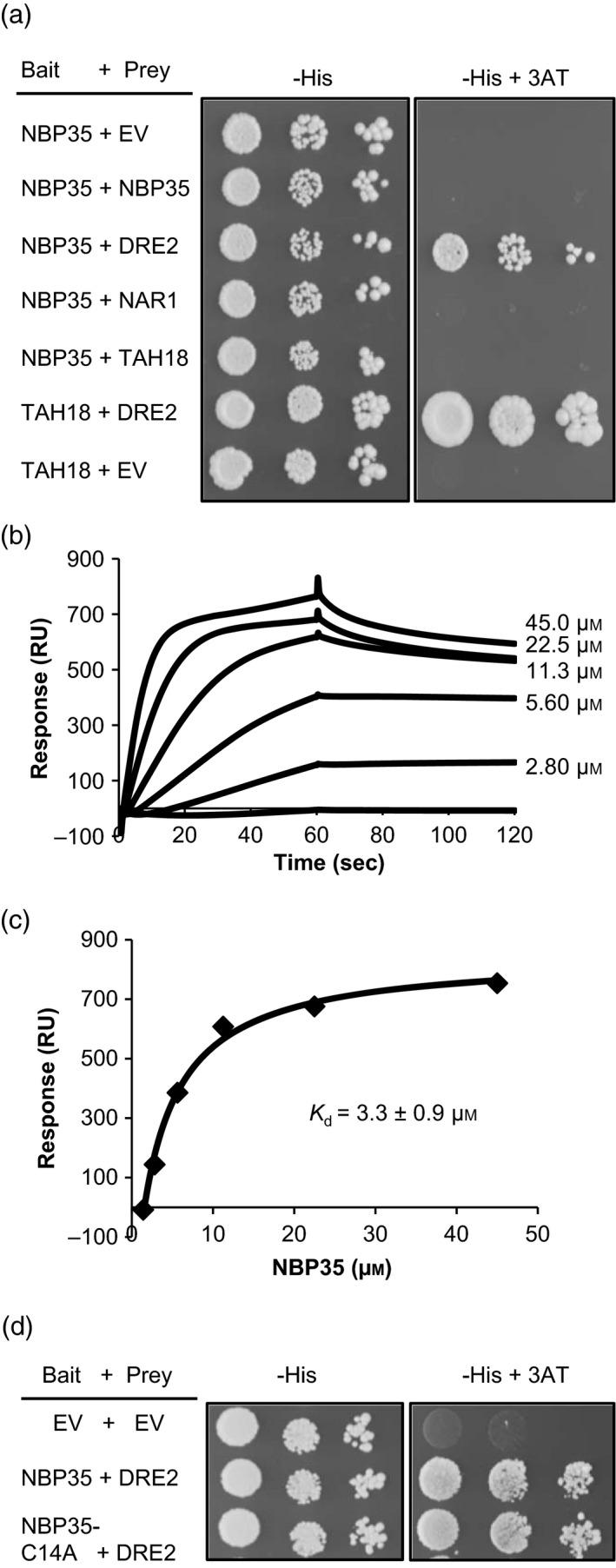 https://cdn.ncbi.nlm.nih.gov/pmc/blobs/e8fd/5324674/3d810f82520a/TPJ-89-590-g006.jpg
