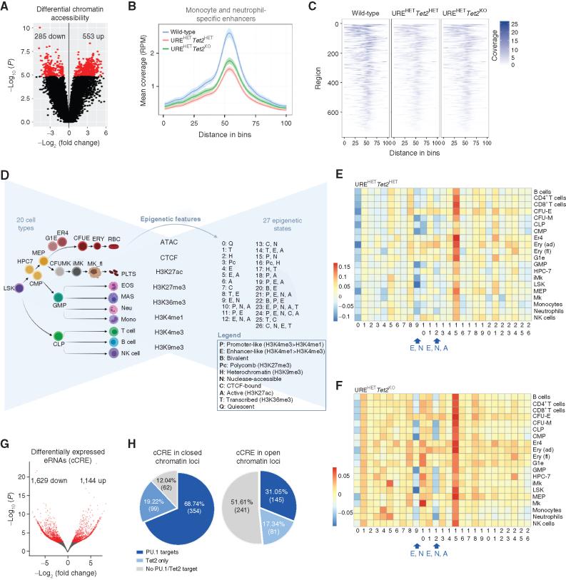 https://cdn.ncbi.nlm.nih.gov/pmc/blobs/e8fd/9894728/47a99c8c1941/444fig5.jpg