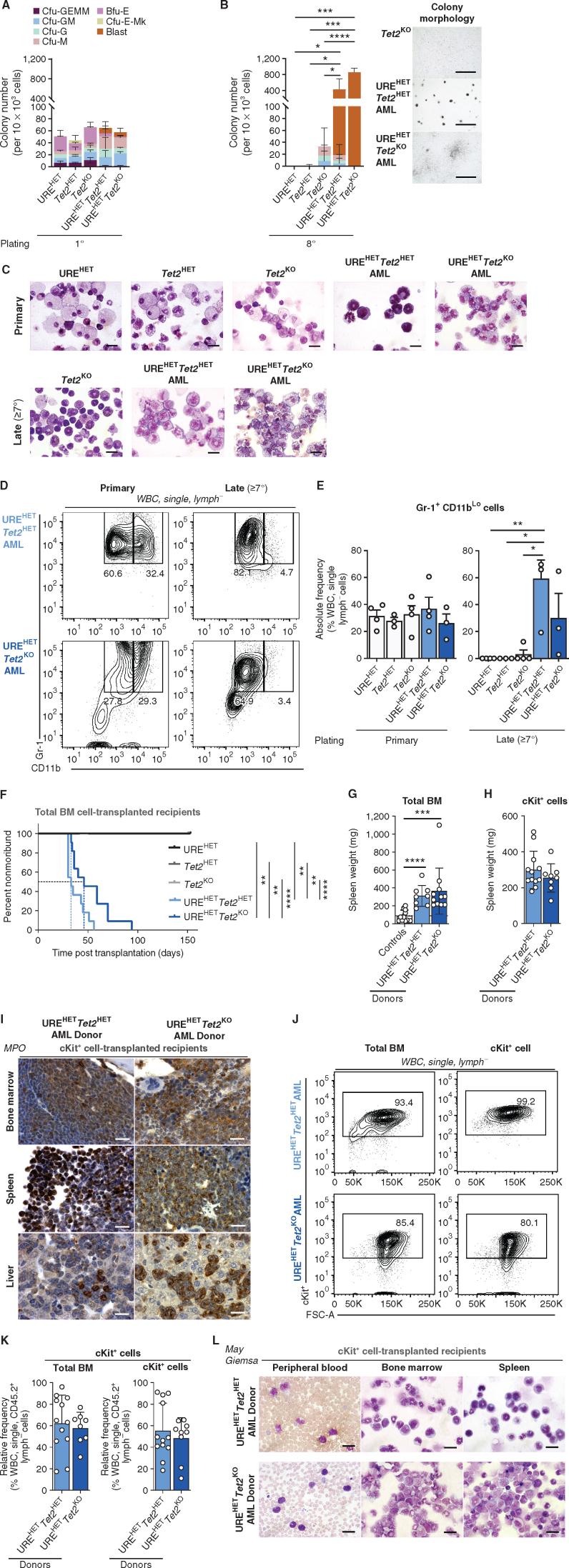 https://cdn.ncbi.nlm.nih.gov/pmc/blobs/e8fd/9894728/5da27252204c/444fig3.jpg