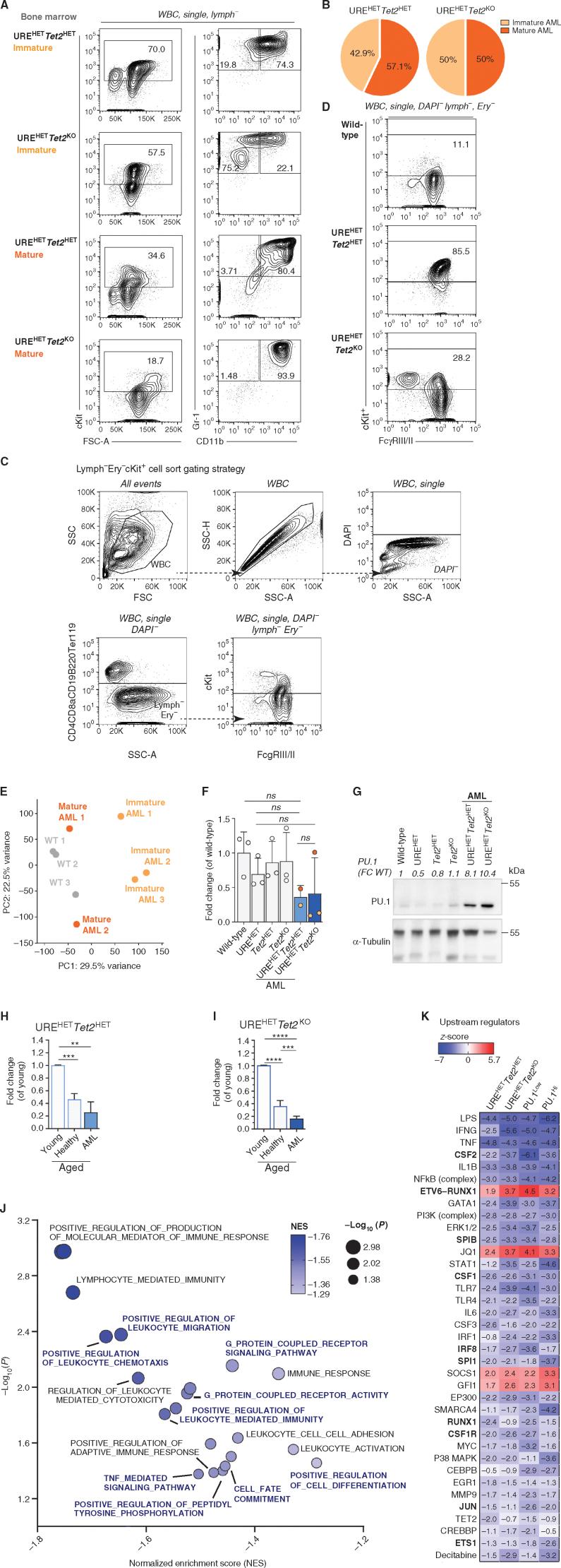 https://cdn.ncbi.nlm.nih.gov/pmc/blobs/e8fd/9894728/8e54a8b65861/444fig4.jpg