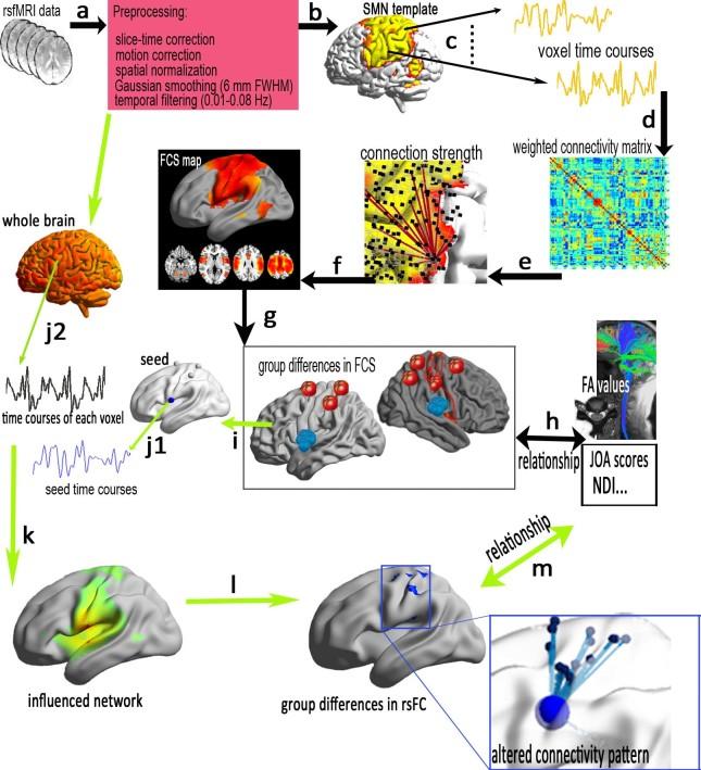 https://cdn.ncbi.nlm.nih.gov/pmc/blobs/e8fe/4404678/5e48128dce37/srep09975-f1.jpg