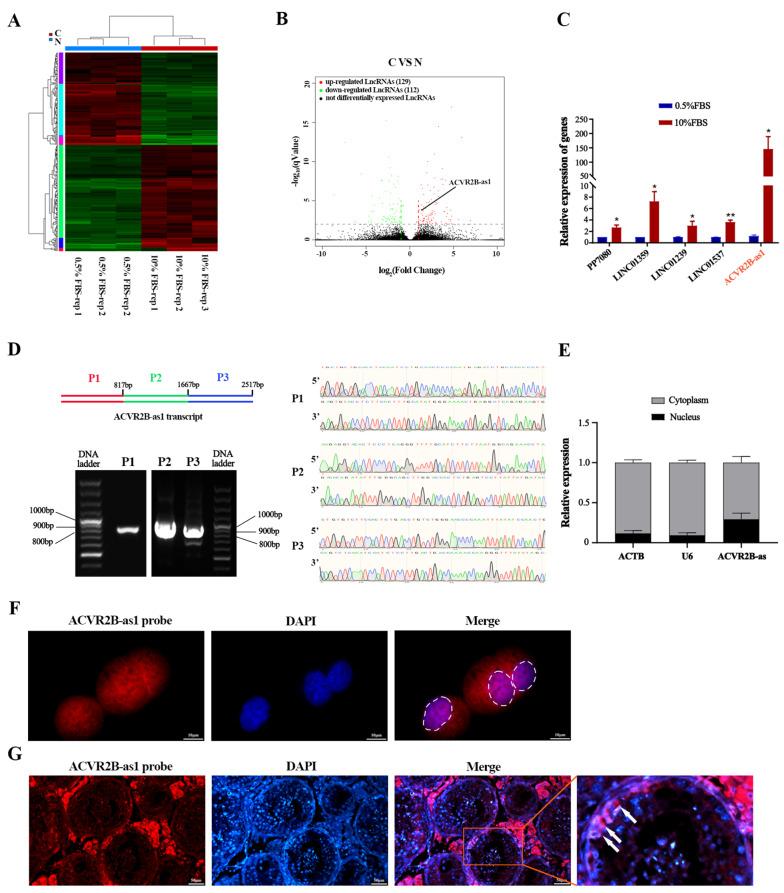 https://cdn.ncbi.nlm.nih.gov/pmc/blobs/e902/11387566/3bcc57ad3e8e/18_2024_5414_Fig1_HTML.jpg