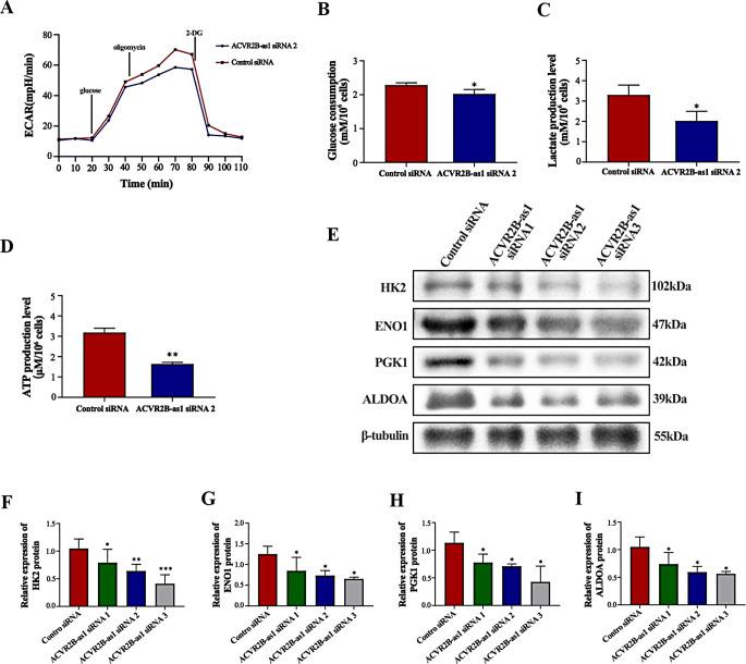 https://cdn.ncbi.nlm.nih.gov/pmc/blobs/e902/11387566/73aa301ba7c5/18_2024_5414_Fig4_HTML.jpg