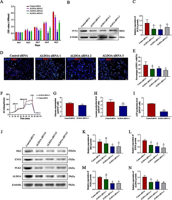 https://cdn.ncbi.nlm.nih.gov/pmc/blobs/e902/11387566/dbd153fefbdd/18_2024_5414_Fig5_HTML.jpg