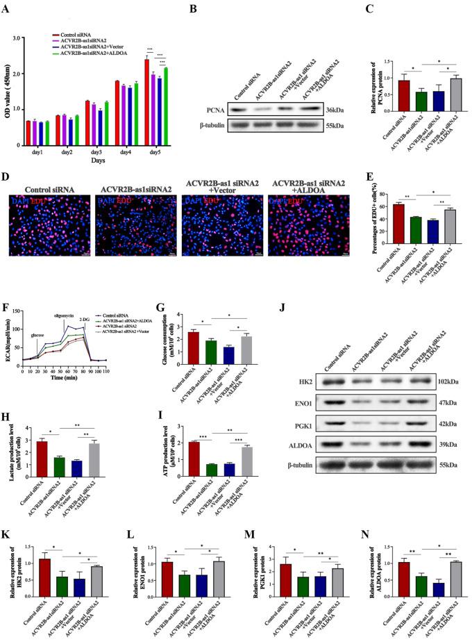 https://cdn.ncbi.nlm.nih.gov/pmc/blobs/e902/11387566/eb20ab38c997/18_2024_5414_Fig7_HTML.jpg
