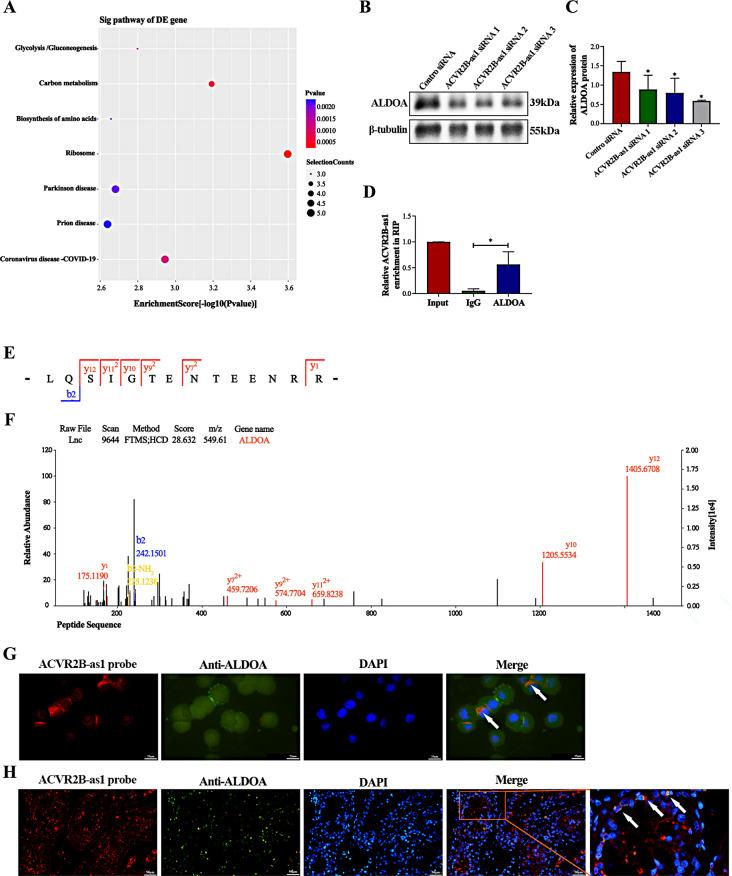 https://cdn.ncbi.nlm.nih.gov/pmc/blobs/e902/11387566/fa71eca484a3/18_2024_5414_Fig3_HTML.jpg