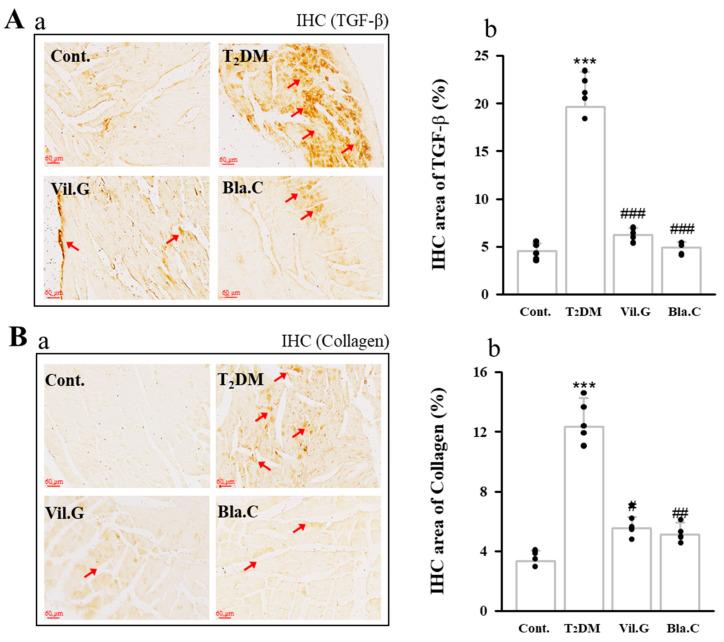 https://cdn.ncbi.nlm.nih.gov/pmc/blobs/e904/8618700/3f6a738ea3f0/nutrients-13-04177-g007.jpg