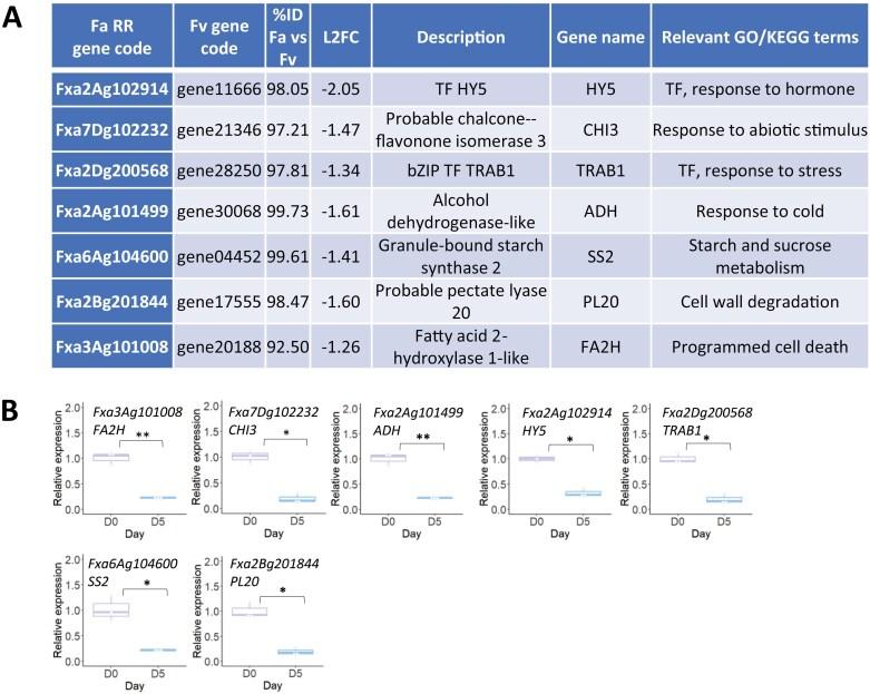https://cdn.ncbi.nlm.nih.gov/pmc/blobs/e908/12187346/665a6ad804a3/erae464_fig3.jpg