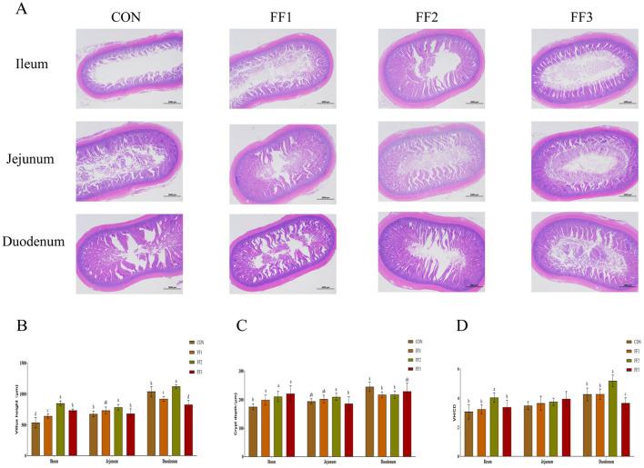 https://cdn.ncbi.nlm.nih.gov/pmc/blobs/e909/12327398/4e6079febd52/fvets-12-1619287-g0003.jpg