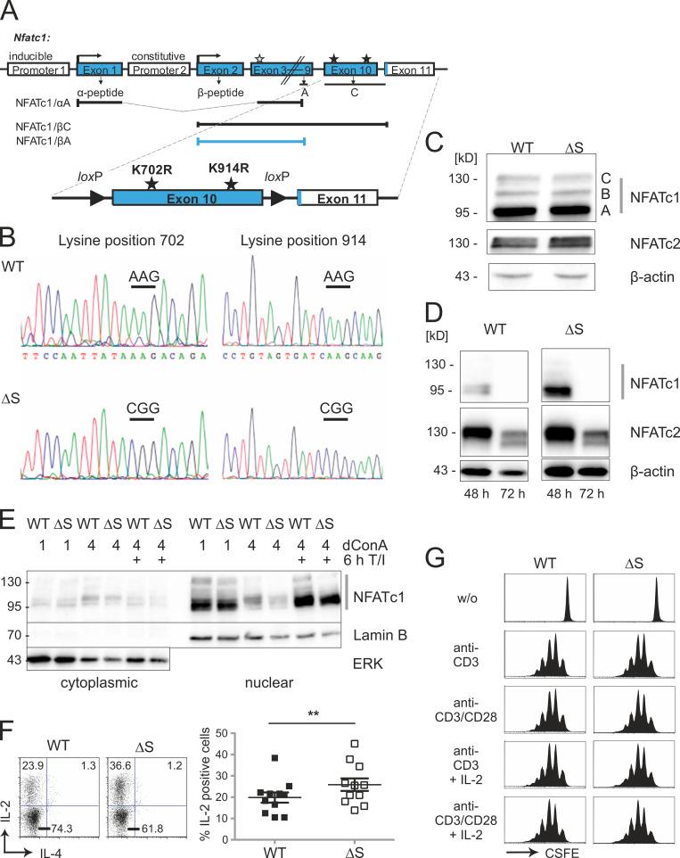 https://cdn.ncbi.nlm.nih.gov/pmc/blobs/e90a/7953626/1e8961be0a4a/JEM_20181853_Fig1.jpg