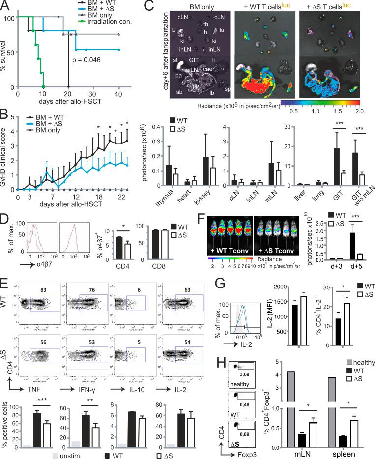 https://cdn.ncbi.nlm.nih.gov/pmc/blobs/e90a/7953626/741049d7d349/JEM_20181853_Fig7.jpg