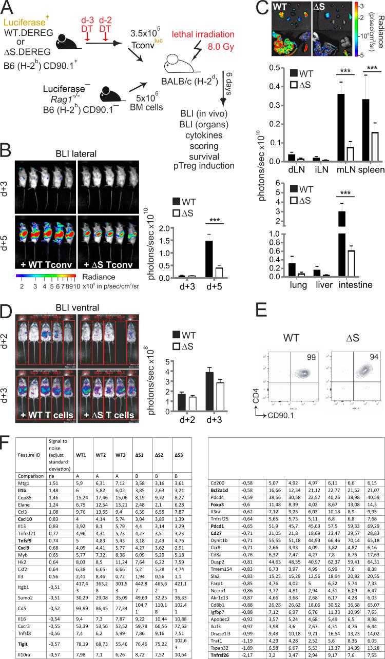 https://cdn.ncbi.nlm.nih.gov/pmc/blobs/e90a/7953626/8aca7b3d90a6/JEM_20181853_FigS4.jpg