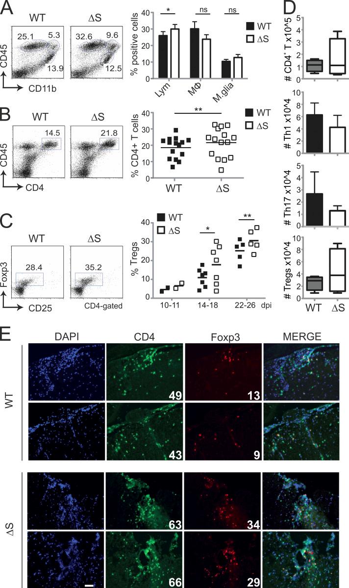 https://cdn.ncbi.nlm.nih.gov/pmc/blobs/e90a/7953626/9246b639d8d4/JEM_20181853_Fig4.jpg