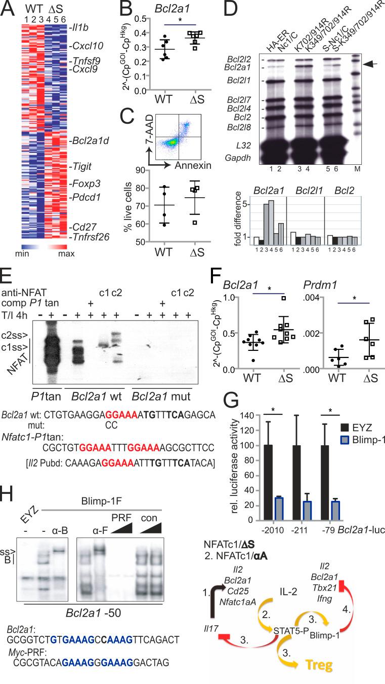 https://cdn.ncbi.nlm.nih.gov/pmc/blobs/e90a/7953626/e231ec856743/JEM_20181853_Fig9.jpg