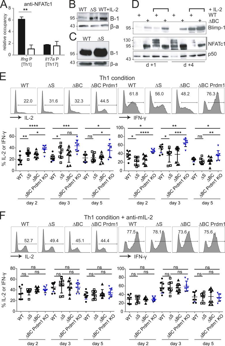 https://cdn.ncbi.nlm.nih.gov/pmc/blobs/e90a/7953626/e9579d6df867/JEM_20181853_Fig8.jpg