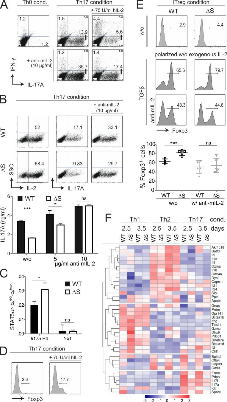 https://cdn.ncbi.nlm.nih.gov/pmc/blobs/e90a/7953626/f151a46d3c6c/JEM_20181853_Fig5.jpg