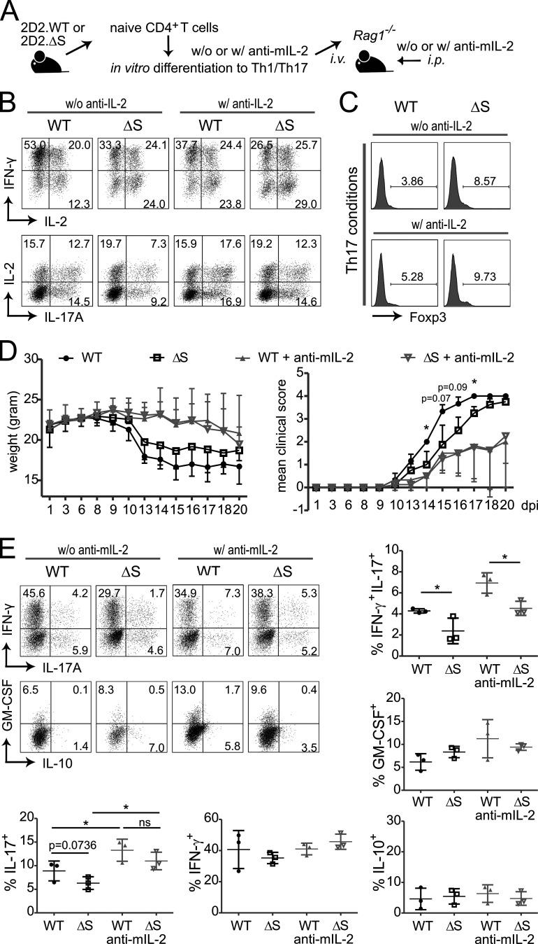 https://cdn.ncbi.nlm.nih.gov/pmc/blobs/e90a/7953626/f883a2b18350/JEM_20181853_Fig6.jpg