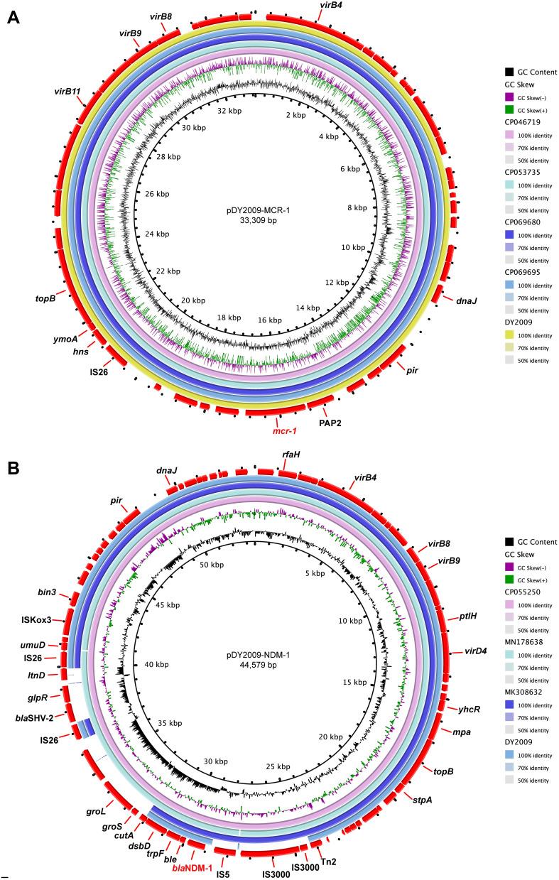 https://cdn.ncbi.nlm.nih.gov/pmc/blobs/e90a/9064484/10fdd4969b82/IDR-15-2293-g0001.jpg