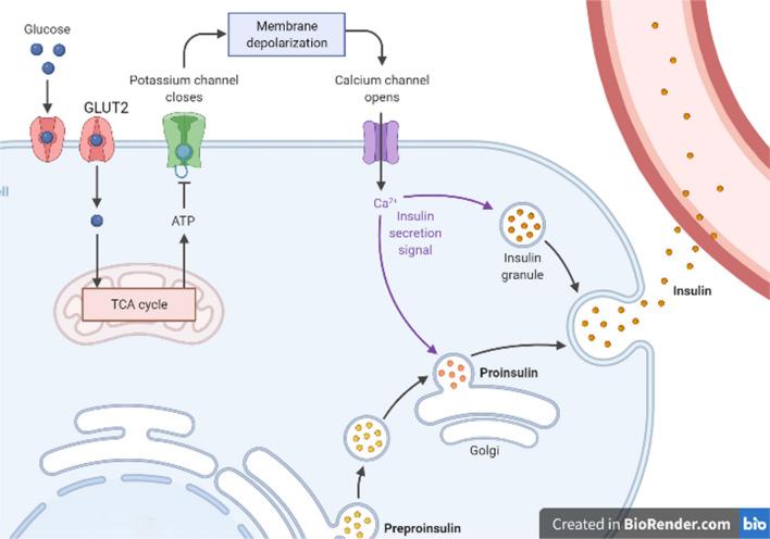 https://cdn.ncbi.nlm.nih.gov/pmc/blobs/e90c/10374759/eb3aee6fcabd/11033_2023_8535_Fig2_HTML.jpg