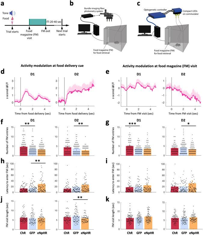 https://cdn.ncbi.nlm.nih.gov/pmc/blobs/e90c/10618099/2778b208a2b1/41380_2023_2131_Fig3_HTML.jpg