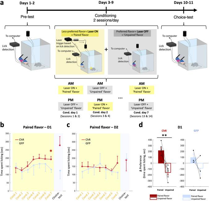 https://cdn.ncbi.nlm.nih.gov/pmc/blobs/e90c/10618099/c28b809e1ae8/41380_2023_2131_Fig4_HTML.jpg