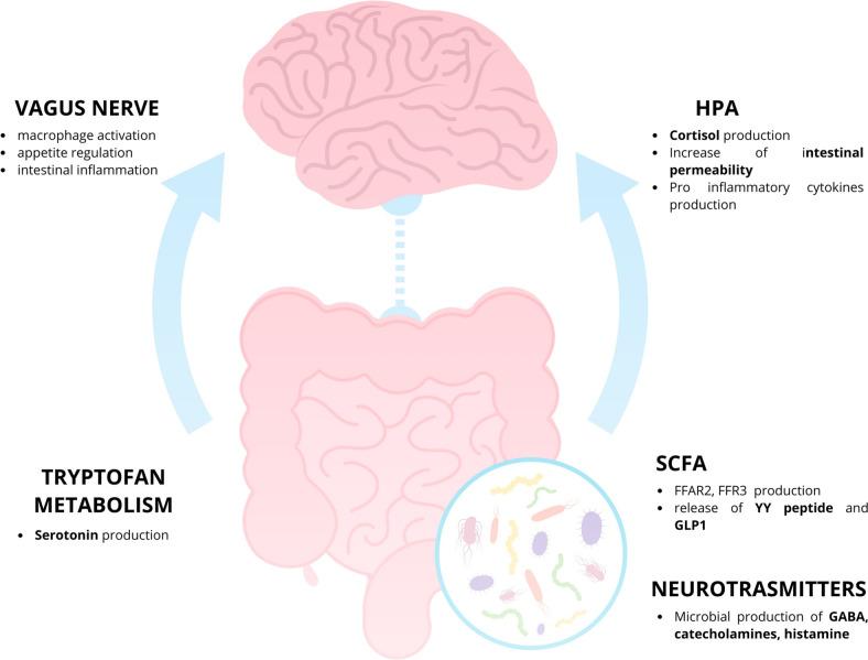 https://cdn.ncbi.nlm.nih.gov/pmc/blobs/e911/11811453/477eaa2a3f5d/13668_2025_619_Fig1_HTML.jpg