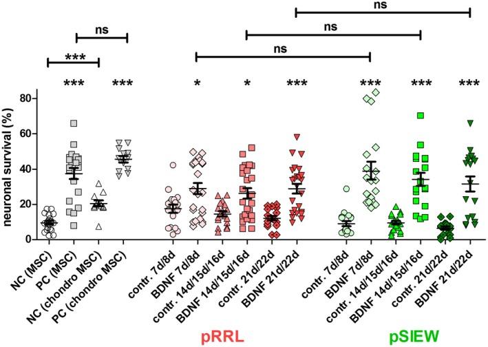 https://cdn.ncbi.nlm.nih.gov/pmc/blobs/e912/6772136/da0696810640/JNR-97-1414-g005.jpg