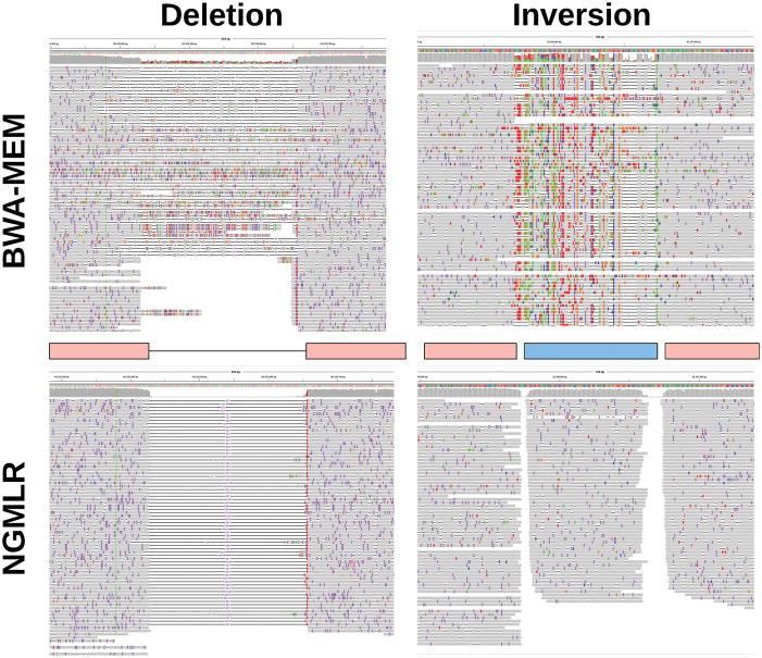 https://cdn.ncbi.nlm.nih.gov/pmc/blobs/e914/5990442/4f3913b8258f/nihms952902f2.jpg