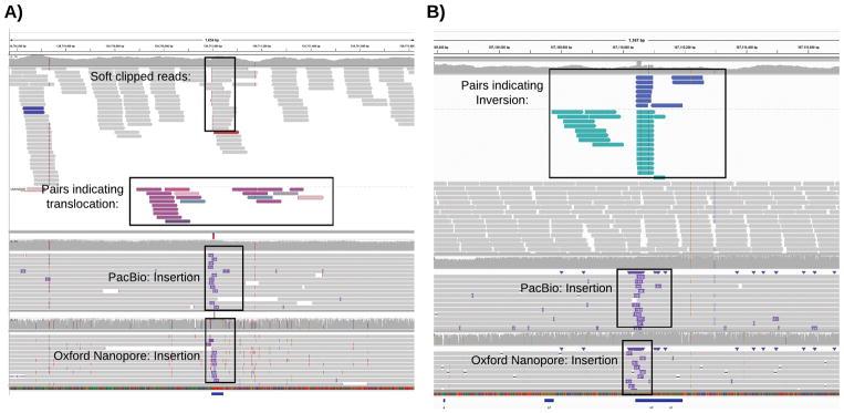 https://cdn.ncbi.nlm.nih.gov/pmc/blobs/e914/5990442/a64d2990e0a9/nihms952902f4.jpg