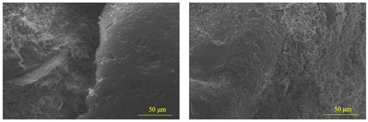 https://cdn.ncbi.nlm.nih.gov/pmc/blobs/e915/12195561/1e02ffe956f0/materials-18-02838-g007.jpg