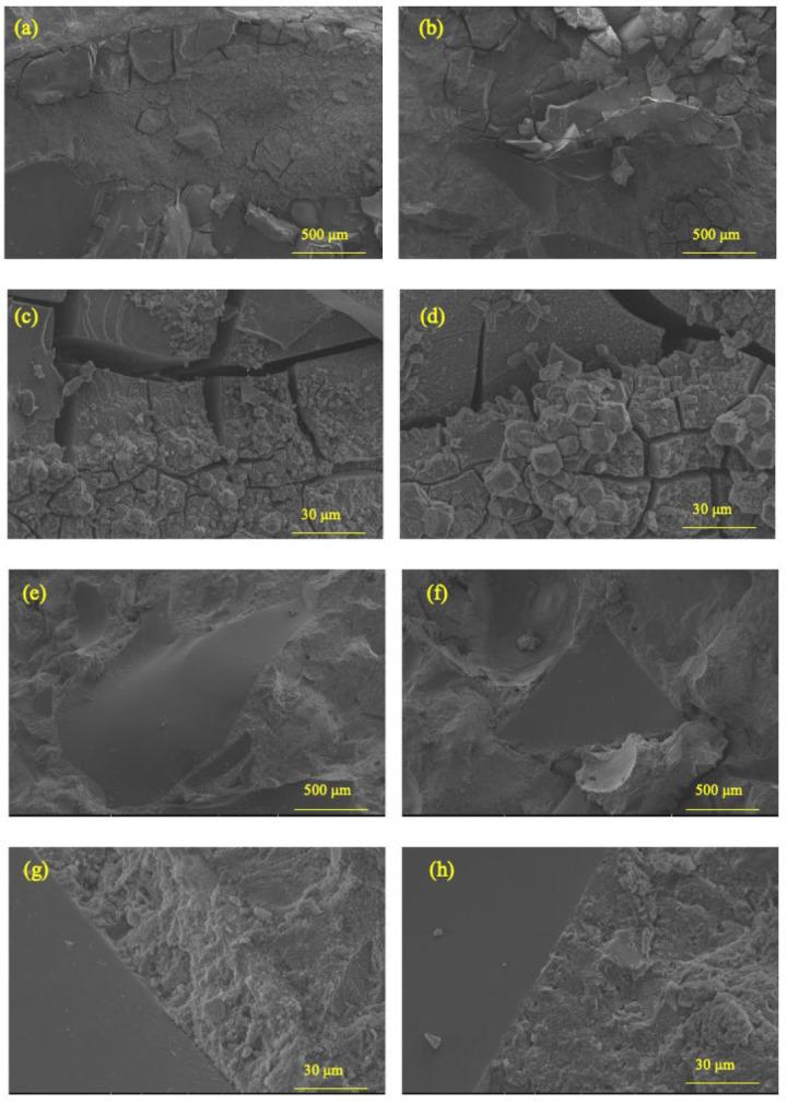 https://cdn.ncbi.nlm.nih.gov/pmc/blobs/e915/12195561/dde05b2c7359/materials-18-02838-g010.jpg