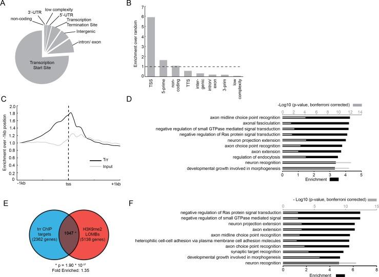 https://cdn.ncbi.nlm.nih.gov/pmc/blobs/e916/5656305/0aff43f49bd4/pgen.1006864.g003.jpg