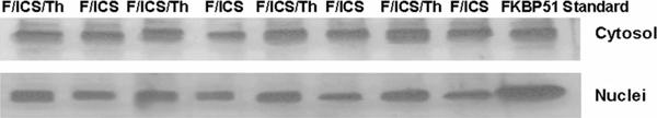 https://cdn.ncbi.nlm.nih.gov/pmc/blobs/e917/3521382/760d63a60437/2047-783X-14-S4-108-1.jpg